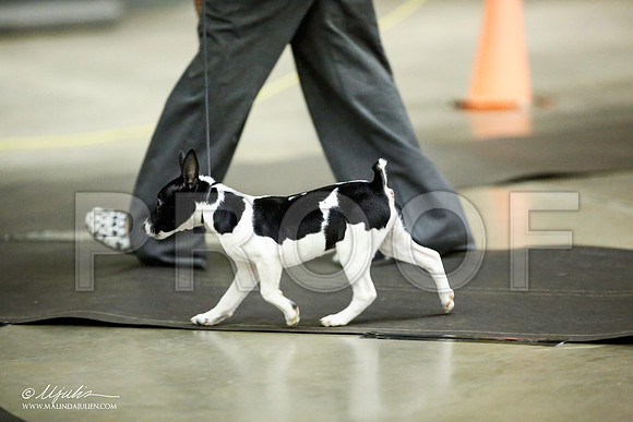 _JJ_5958-BeltonJan2015IABCA-HR3