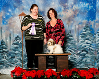 Coton De Tulear #? Sun BIS Puppy Judge Heidi Scheff