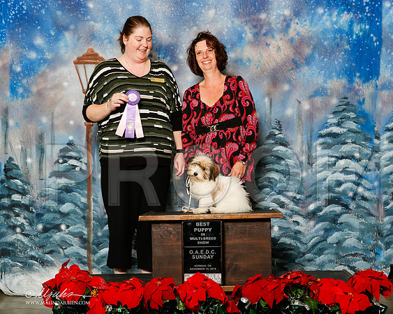 _R2_0960-2-NrmnNov2015-HR3