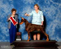 Doberman Pinscher #15 Sat G2 Mitchell Carolyn Austin Jody Huston Gould Colleen Judge Patricia Trotter
