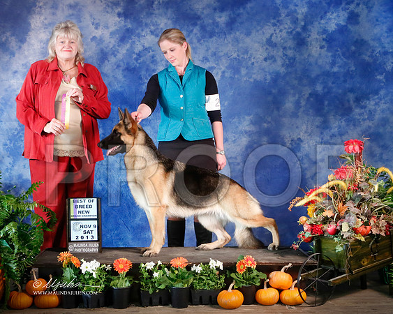 GSD-4368-HstnNov13-HR