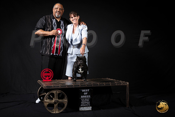 Shorty Bull #18 BOB Judge Emanuel HaynesMJP_3251_USBRNat2023_HR3
