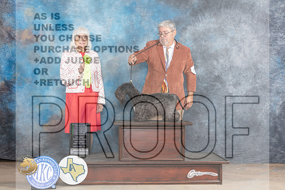 Cesky #5 Sat OHRBIS Judge Jan PaulkMJP_1223_Abilene_2023_HR3