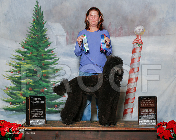 _R2_1743-2-MrshlDec2015-HR3