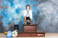 Yorkshire Terrier #5 SAT BOS Judge Terry Berrios