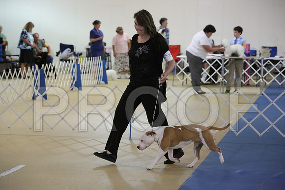 APBT-9952-HR