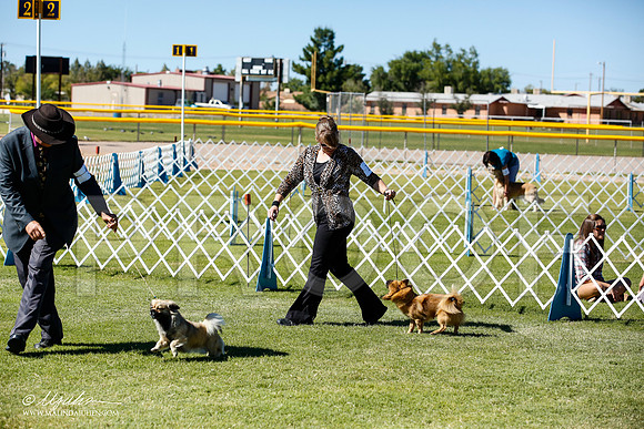 _JN_9286-AlamogordoOct2014-HR3