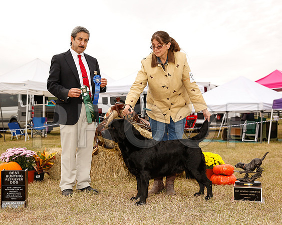 _JJ_2977-2-DFWLabNov2015-HR3
