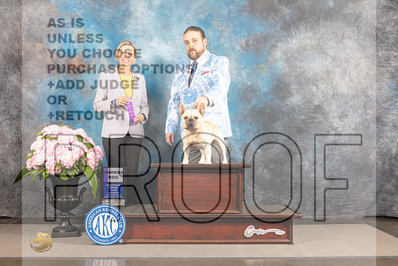 French Bulldog #21 SAT WD NCH Judge Patricia Sosa-_MJ_6428_HSTN2022-HR3