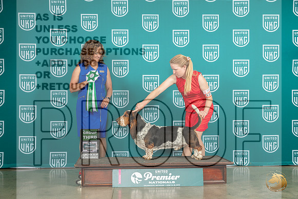 Basset Hound #1234 Sat G3 Judge Tricia TillMJP_5328_Premier2023_HR3