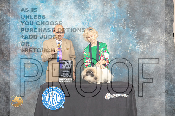 Pekingese #10 Sat WB Judge Bradley Jenkins_MJ_0152_HstnTOY_2022_HR3