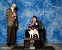 Pug #11 Sun BOB Ratliff Kristy and Kevin Judge Jon cole
