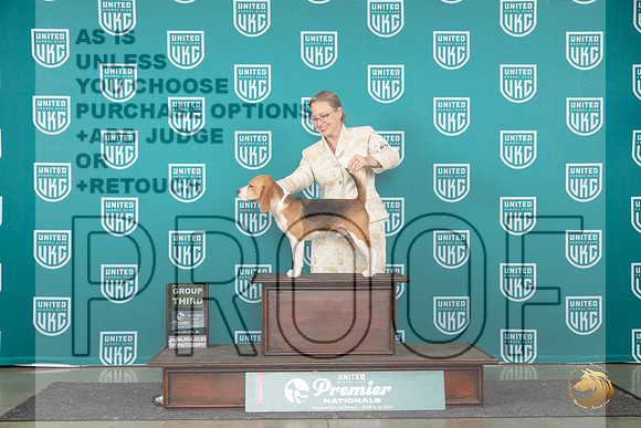 Beagle #894 Sat G3 Judge Diane Price__JP_2404_Premier_2024_HR3