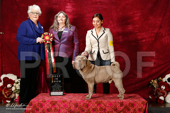 _ST_2678-2-BeltonJan2015IABCA-HR3