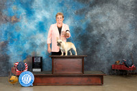 French Bulldog #22 Fri BOSWB Judge Jacqueline L Stacy