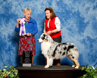 Australian Shepherd #123 Sat S2 BIS Maggie Pryor Judge Lew Olson