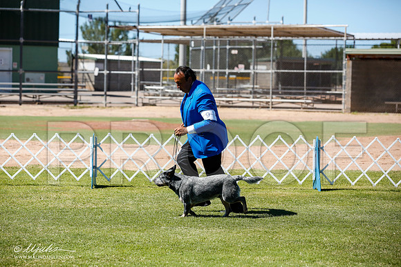 _JN_8909-AlamogordoOct2014-HR3