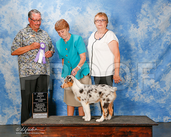 _ST_9838-2-CnroeJul2014-HR3