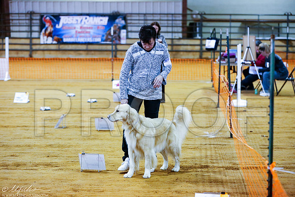 _RH_5043-MarshDec2014-HR