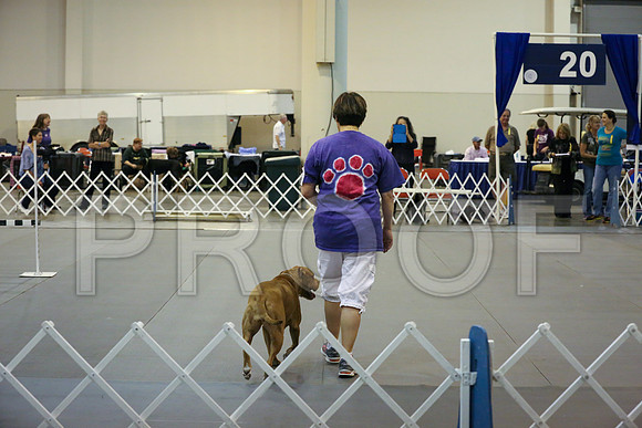 AmStaff-9695-HR300