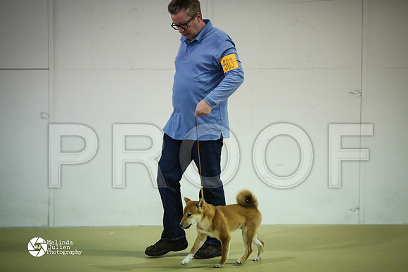 shib-6730-HtoJan14-HR