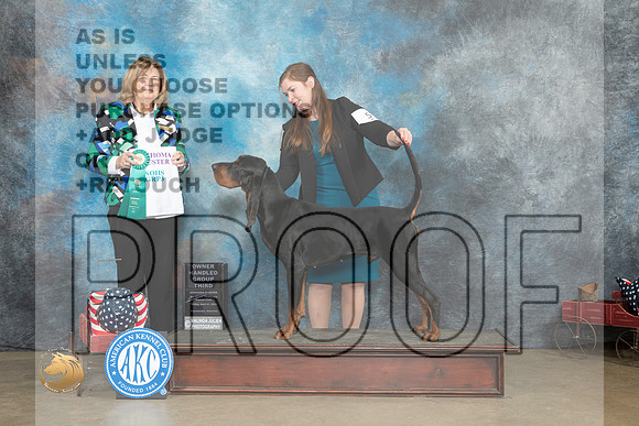 Black and Tan Coonhound #5 Fri OHG3 Judge Linn Klingel Brown_MJ_6231_ARK2023_HR3