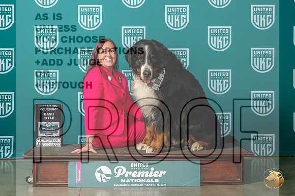 Bernese Mountain Dog #866 Sat NTDASHMJP_5556_Premier2023_HR3