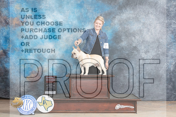 French Bulldog #15 Sat G2 Judge Terry BerriosMJP_1180_Abilene_2023_HR3
