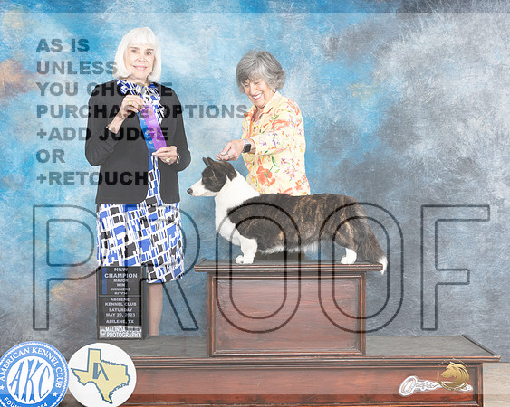 Cardigan Welsh Corgi #14 Sat WBMCH Judge Jan Paulk-MJP_1246e_Abilene2023-HR3