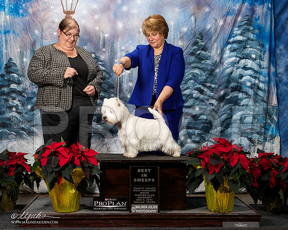 _ST_7954-DallasDec2014-HR3