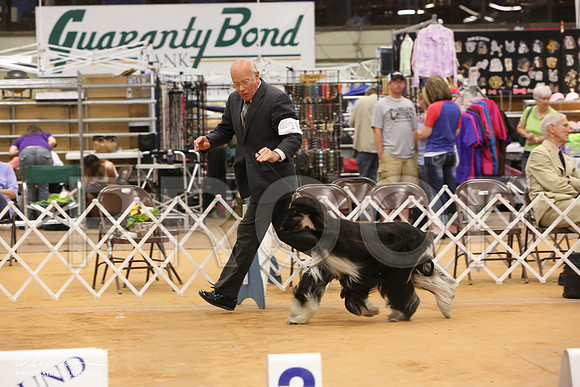 HoundGrpSn-0287-Tex2013 HR3