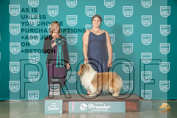 Shetland Sheepdog #439 Thur HonMen Judge Felicity TrammellMJP_4292_Premier2023_HR3