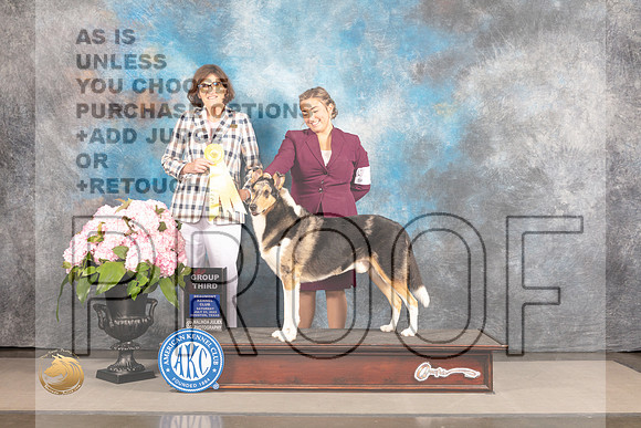Collie Smooth #5 Sat G3 Judge Carrie Chase_MJ_7067_Houston_2022_HR3