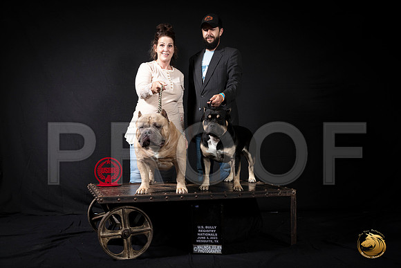 American Bully #26 WagnerMJP_3370_USBRNat2023_HR3