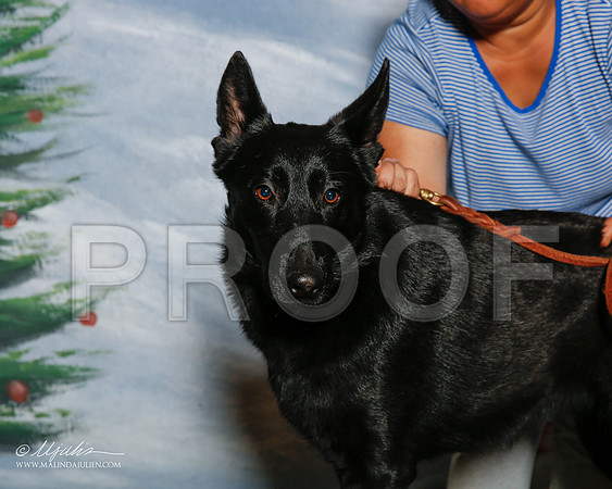 _R2_1937-2-MrshlDec2015-HR3