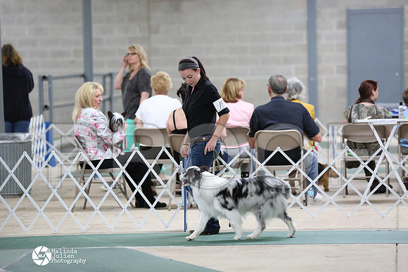 CCL_1410-NrmnApr14-HR3