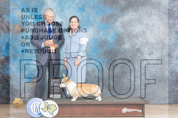 Pembroke Welsh Corgi #5 PG1 Judge Richard NanceMJP_0358_Abilene_2023_HR3