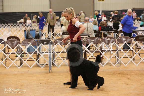 PoodStd-8717-Tex2013 HR3
