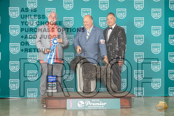 Kerry Blue Terrier #895 Sat G1 Judge Matthew ProctorMJP_5179_Premier2023_HR3