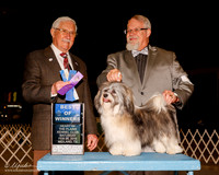 Havanese #5 Sat BOW Little Lorie and Tammy Marshall Judge Charles Trotter