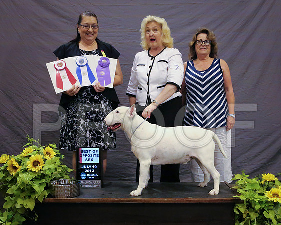 BullT-4111-HstnJ13HR