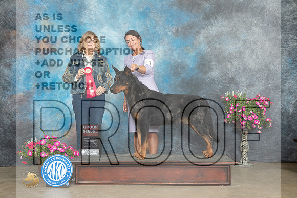 Beauceron #5 Sat G2 Judge Linn Klingel Brown_MJ_6769e_ARK2023_HR3