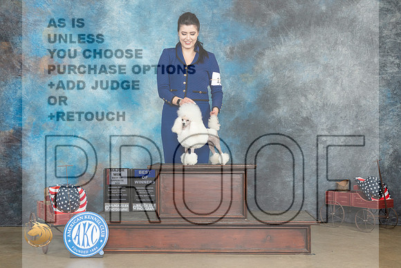 Poodle Toy #12 Thurs BOSBOW Judge Terry Stacy_MJ_5590_ARK2023_HR3