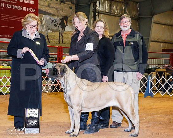 _RH_8901-2-GlenRoseJan2015-HR3