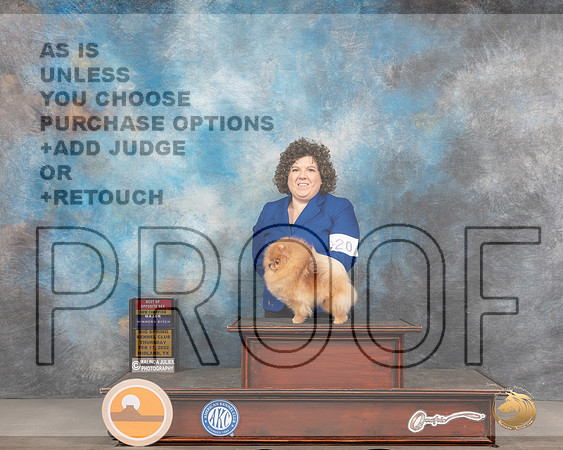 Pomeranian #20 Thurs BOSWB Judge Denny MounceMMJ_2301_Mdlnd2022_HR3
