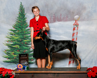 Doberman Pinscher #? Sat S2 Best Jr Amy Harris