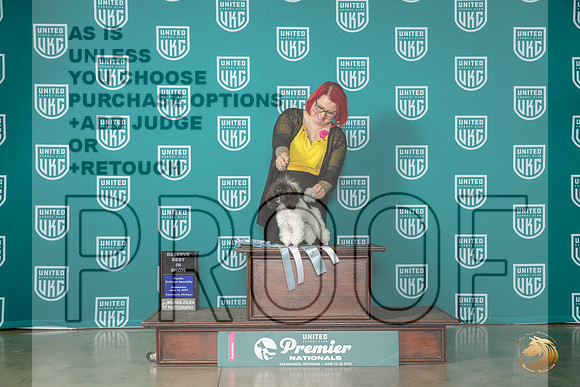 Poodle MC Toy #1094 Fri BOB GrRBIS Judge Dianna BrumbaughMJP_4497_Premier2023_HR3