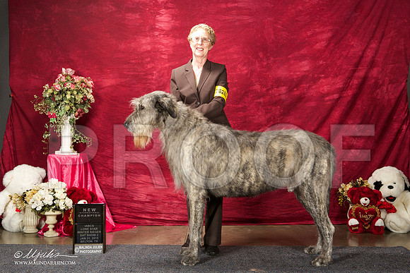 _ST_2869-BeltonJan2015IABCA-HR3
