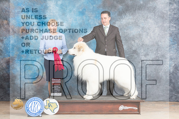 Great Pyrenees #5 Fri G2 Judge Terry BerriosMJP_0581_Abilene_2023_HR3