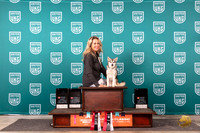 Alaskan Klee Kai #214 Sun